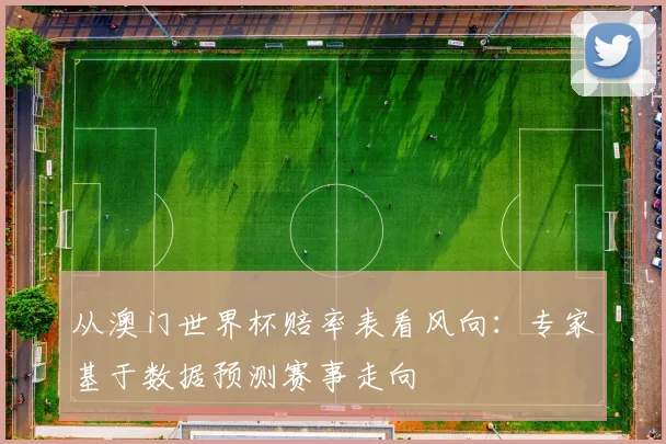 从澳门世界杯赔率表看风向:专家基于数据预测赛事走向