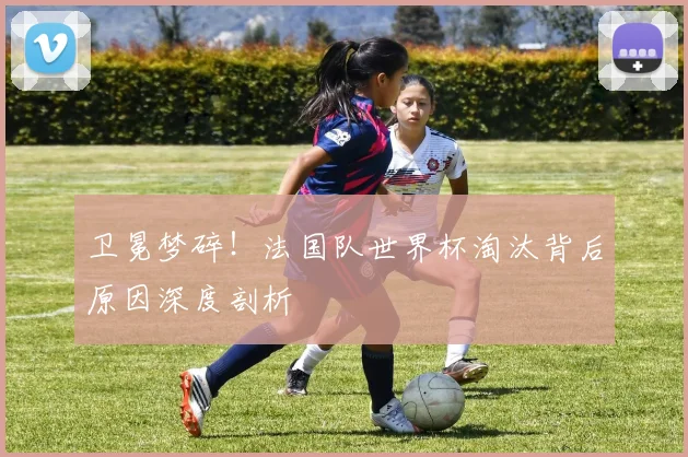 卫冕梦碎!法国队世界杯淘汰背后原因深度剖析