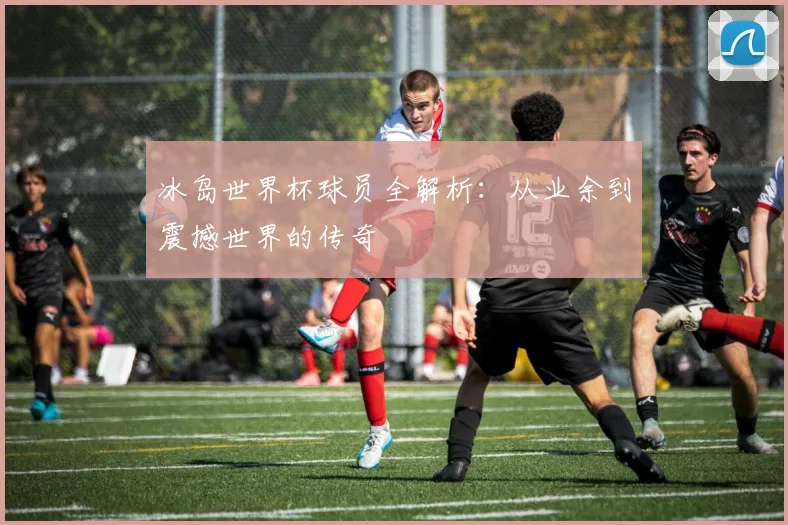冰岛世界杯球员全解析：从业余到震撼世界的传奇