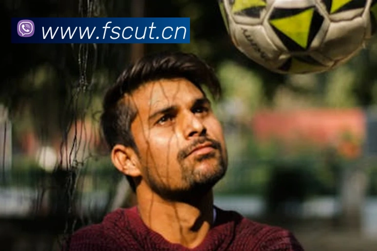 kaiyun网页登录入口平台生态图